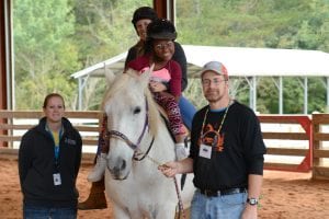 Z'moria Age 12 Horse Barn