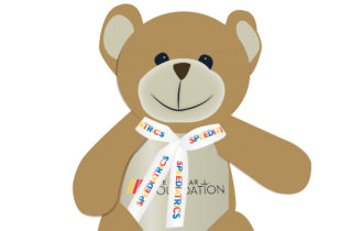 Sb Teddy Bear