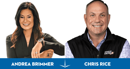 Andrea Brimmer