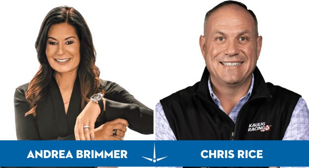 Andrea Brimmer